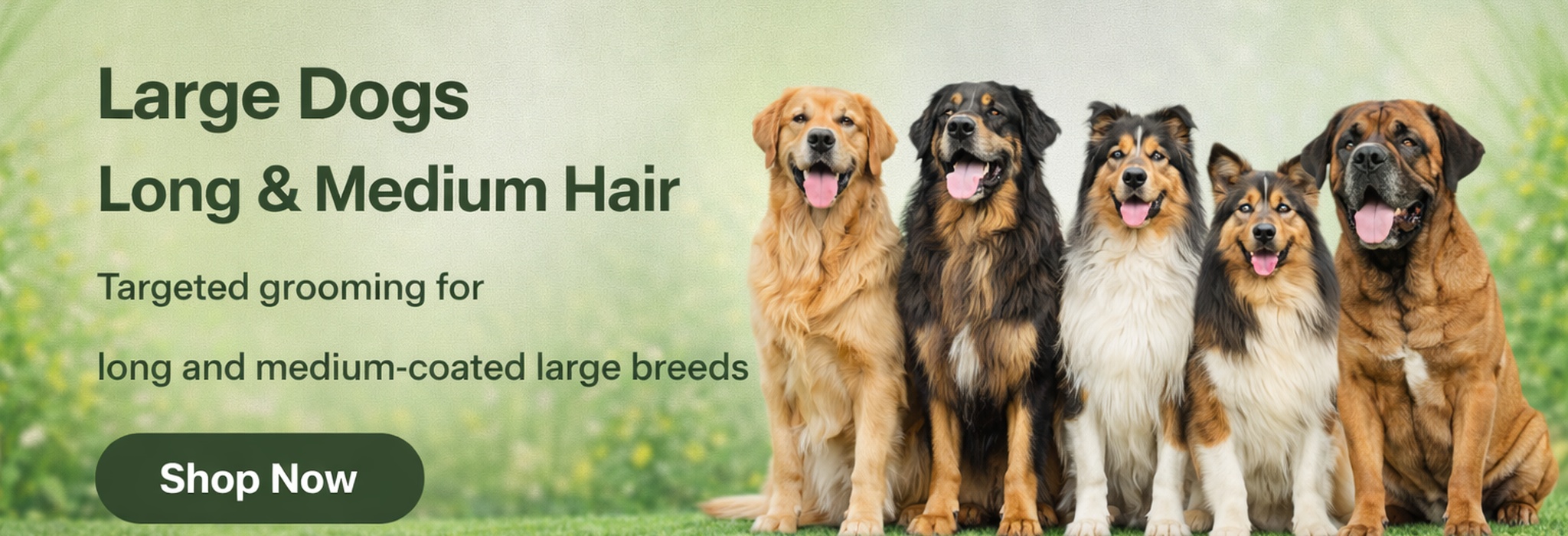 Large Dogs with Long & Medium Hair