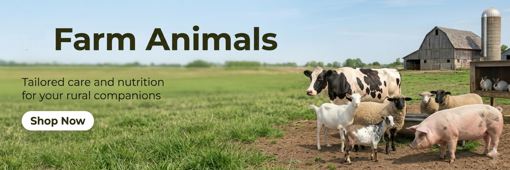 Farm Animals